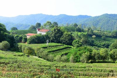 对川茶景园