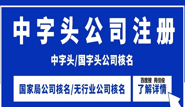 注册中字头无区域无行业国家工商总局企业