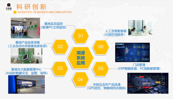 巴熟黑猪跟其他黑猪的区别