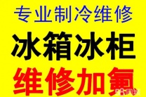 淄博张店修冰箱充氟维修电话-张店维修冰柜联系电话